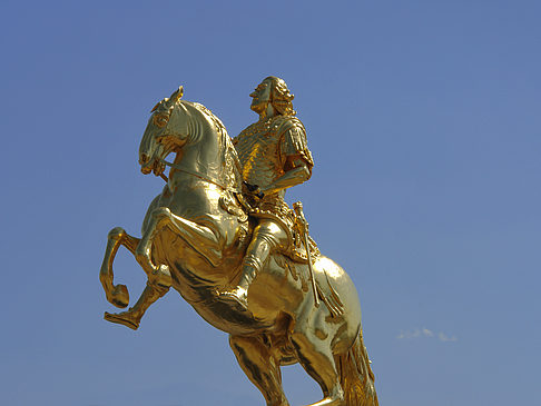 Foto Goldener Reiter Nahaufnahme