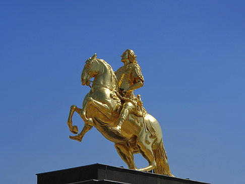 Foto Goldener Reiter Nahaufnahme