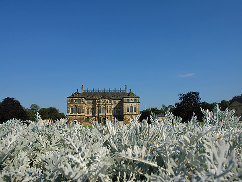 Foto Blumen vor dem Palais