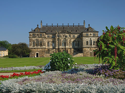 Foto Blumen vor dem Palais