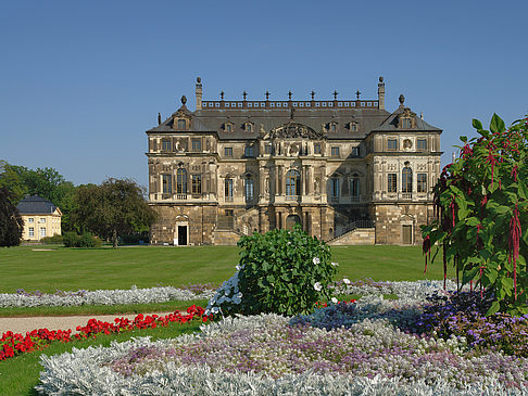 Foto Blumen vor dem Palais - Dresden