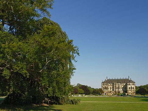 Foto Palais zwischen Bäumen - Dresden