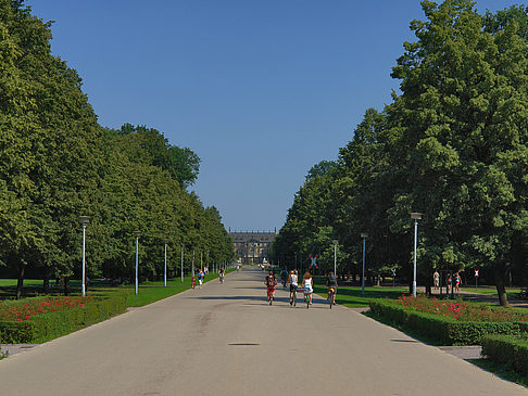 Fotos Weg