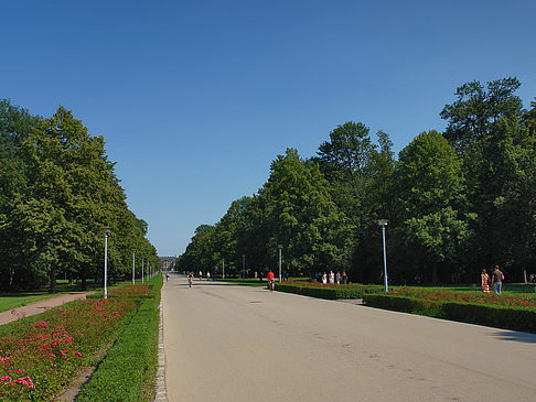 Weg Foto 