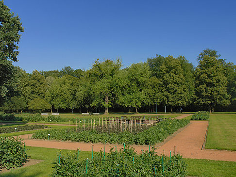 Foto Weg - Dresden