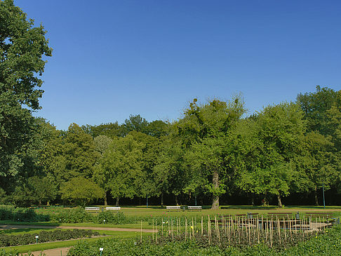 Weg