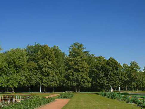 Fotos Weg