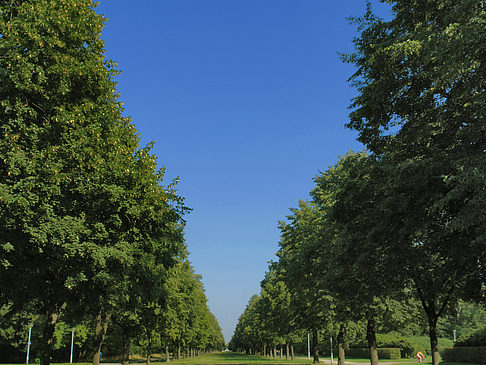 Weg Foto 