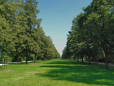 Wiese Fotos