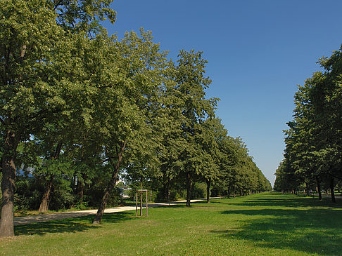 Wiese Fotos