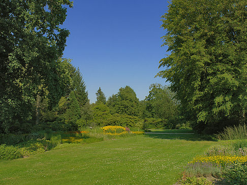 Foto Wiese mit Bäumen - Dresden