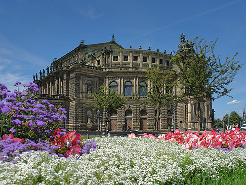 Fotos Semperoper mit Blumen | Dresden
