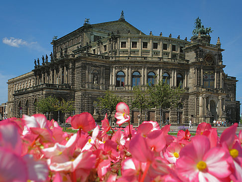 Fotos Semperoper mit Blumen | Dresden