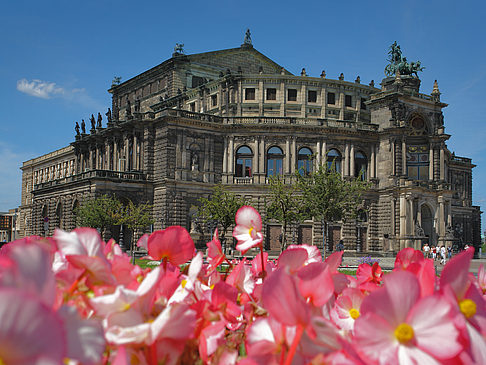 Fotos Semperoper mit Blumen | Dresden