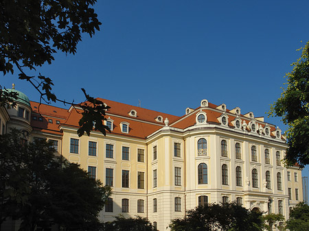 Fotos Blick durch Bäume | Dresden