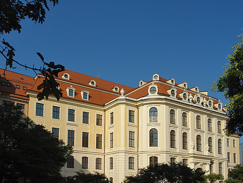 Blick durch Bäume Foto 