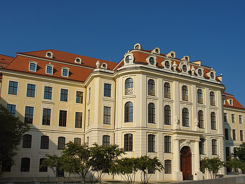 Fotos Stadtmuseum | Dresden