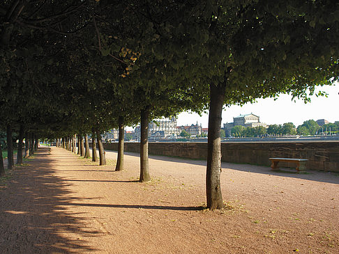 Fotos Weg an der Elbe