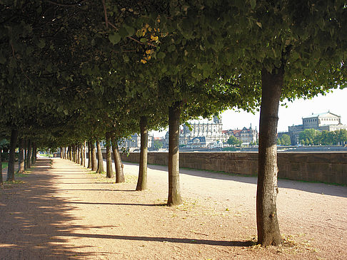 Foto Weg an der Elbe