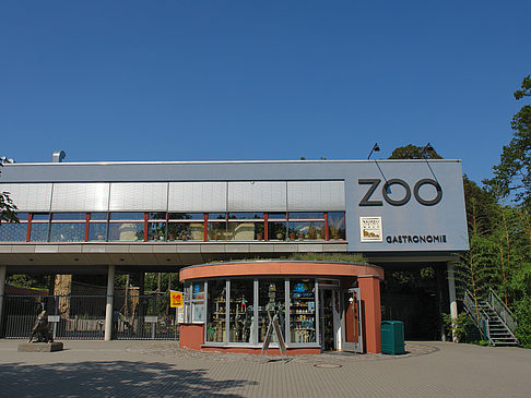 Zoo