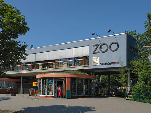 Foto Zoo - Dresden